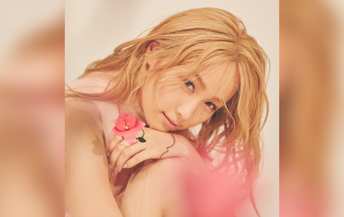 Dream Ami 画像